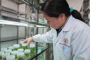 爱游戏平台-中小学体育课安全意识培养研究，中小学体育课安全意识培养研究目的